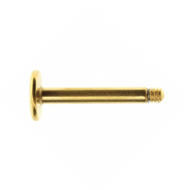 Surgical Steel Labret Stud Gold