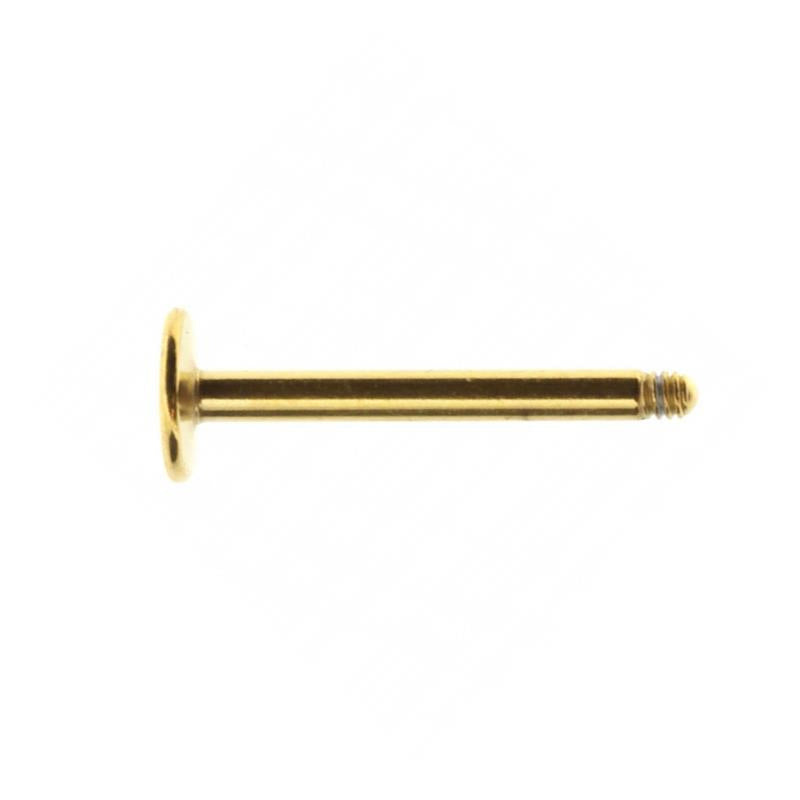 Surgical Steel Labret Stud - 4 mm Disc Gold