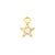 Nickel-Free Stainless Steel Click Ring Charm - Zirconia Star Gold