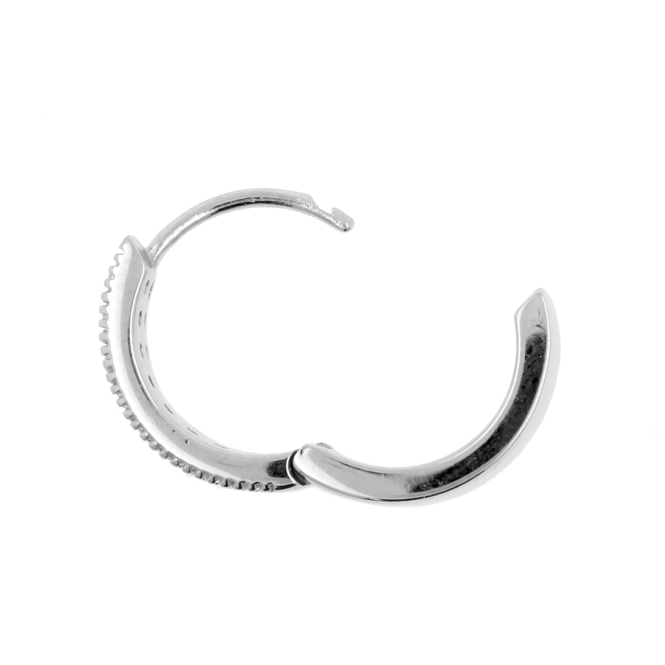 Chirurgisch Stalen Dubbele Rij Zirkonia Click Hoop Earrings Clear