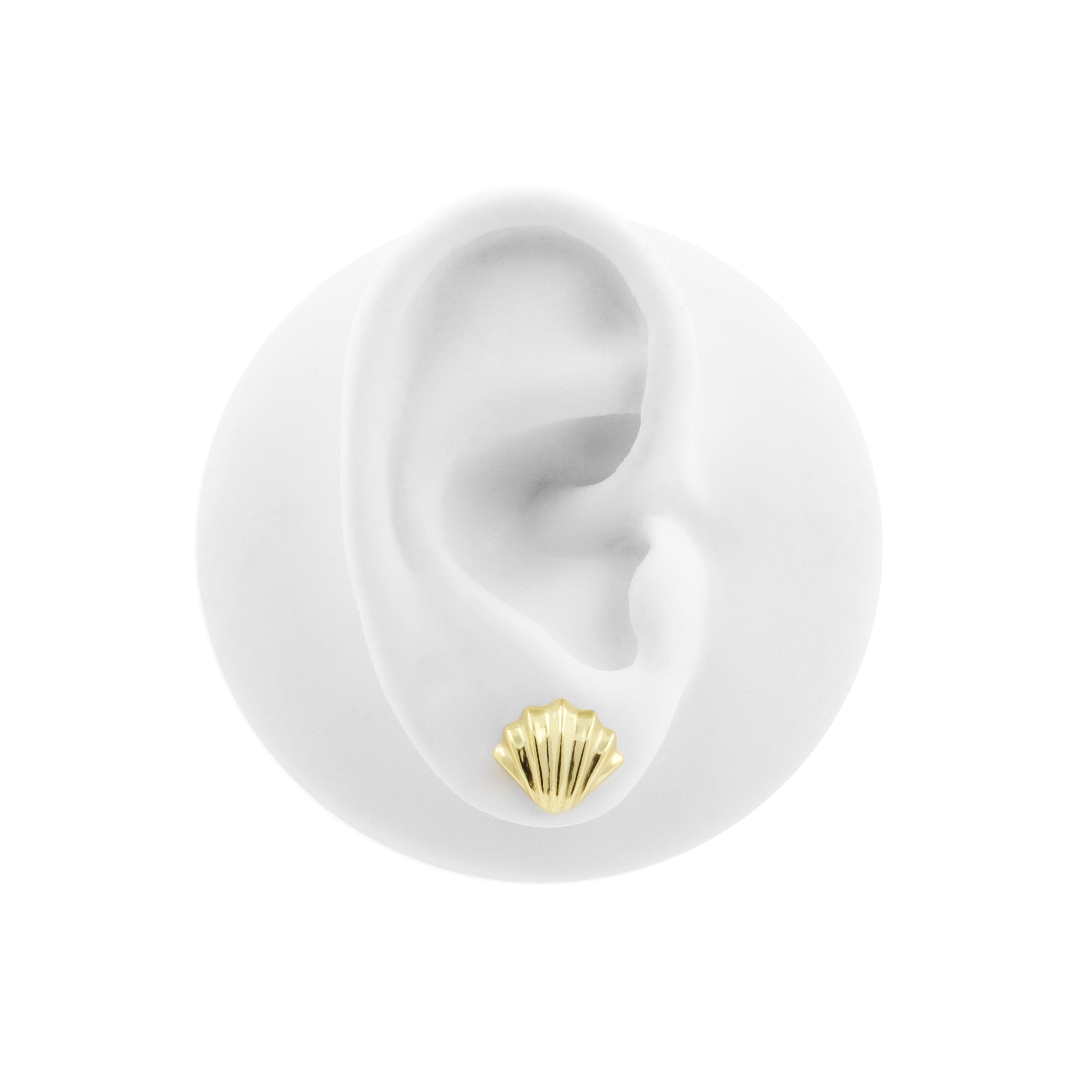 925 Silver Earstuds - Shell Gold