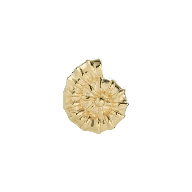 14 Karat Gold Ammonite