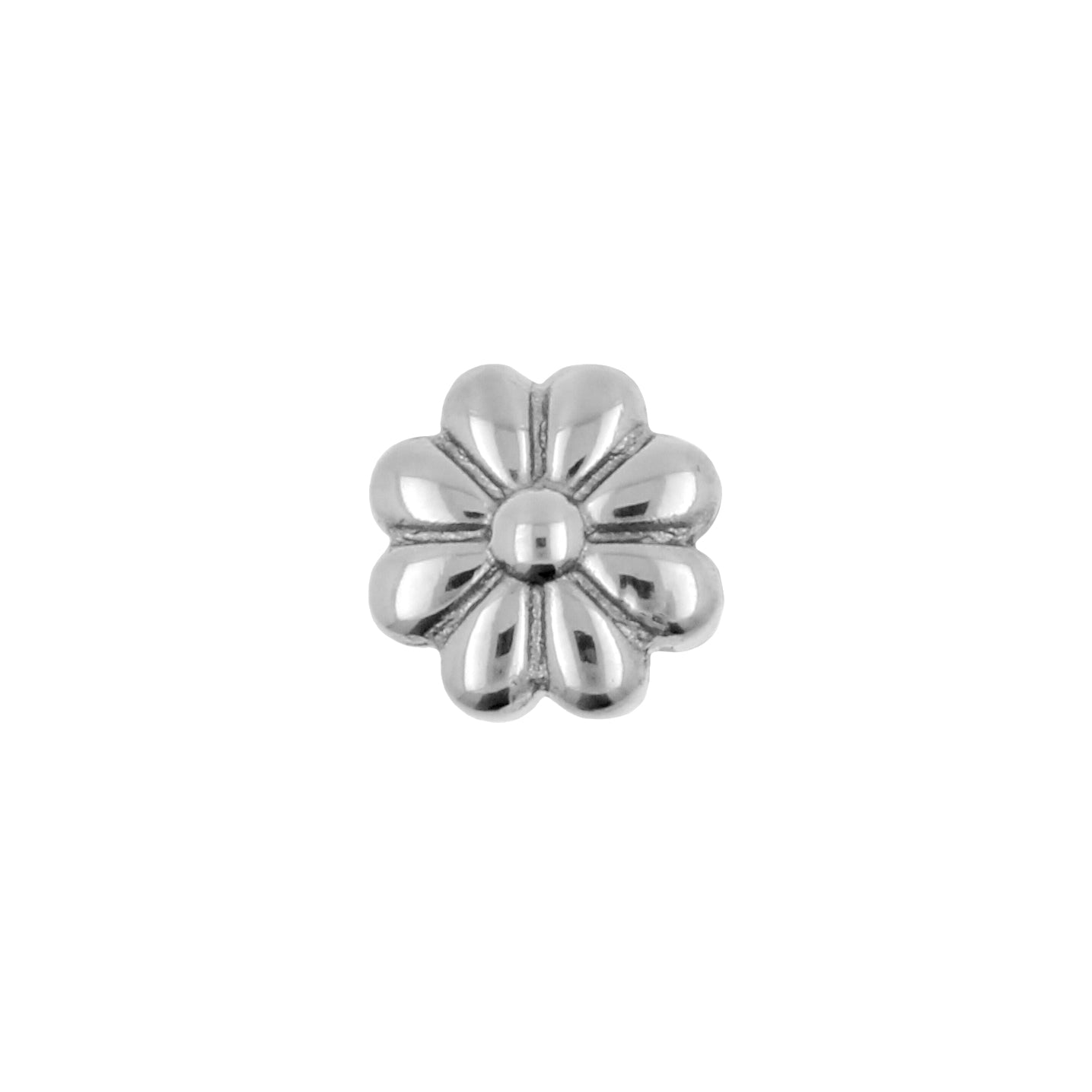 Titanium Daisy - Silver