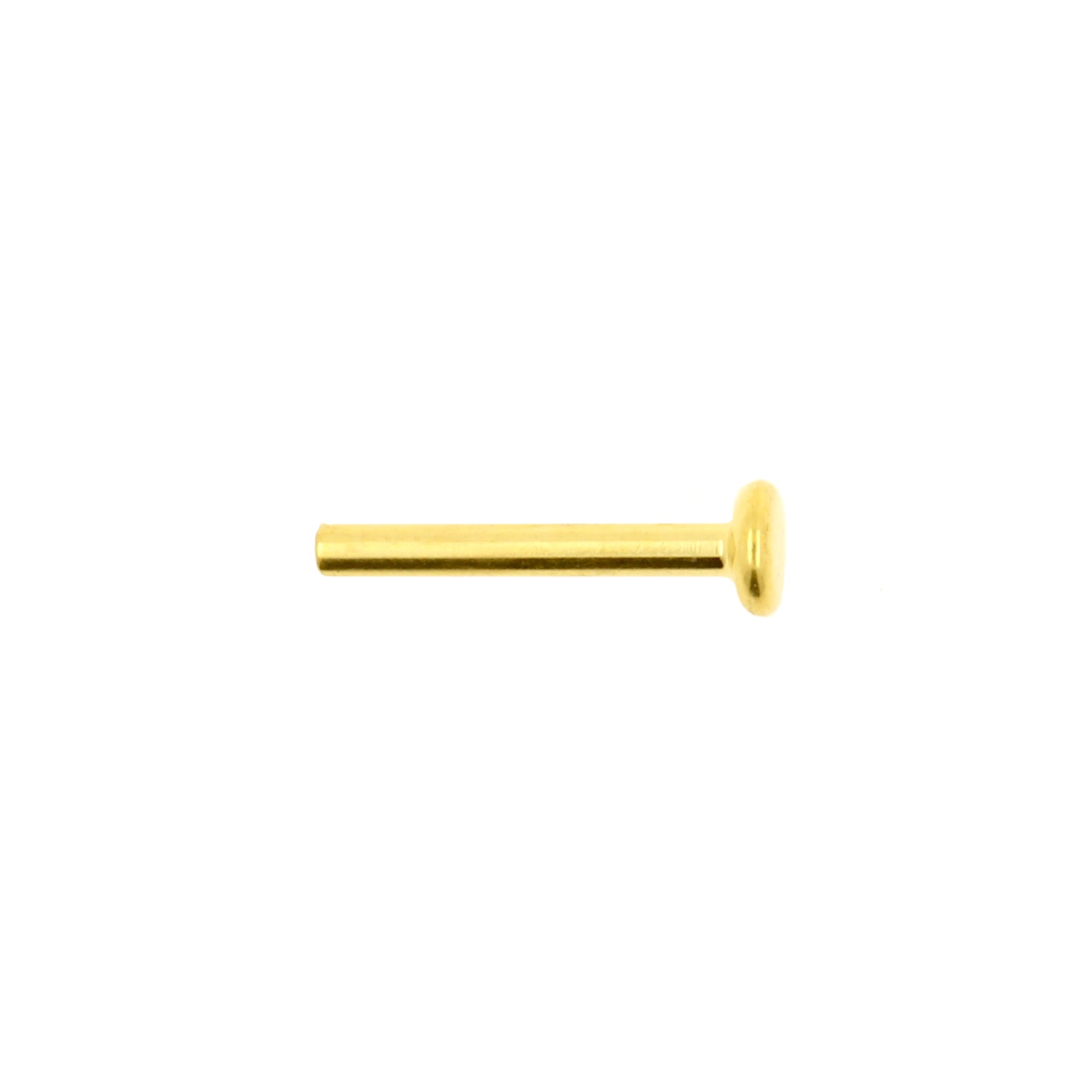 Titanium Labret Stud 2,5 mm Disc - Gold