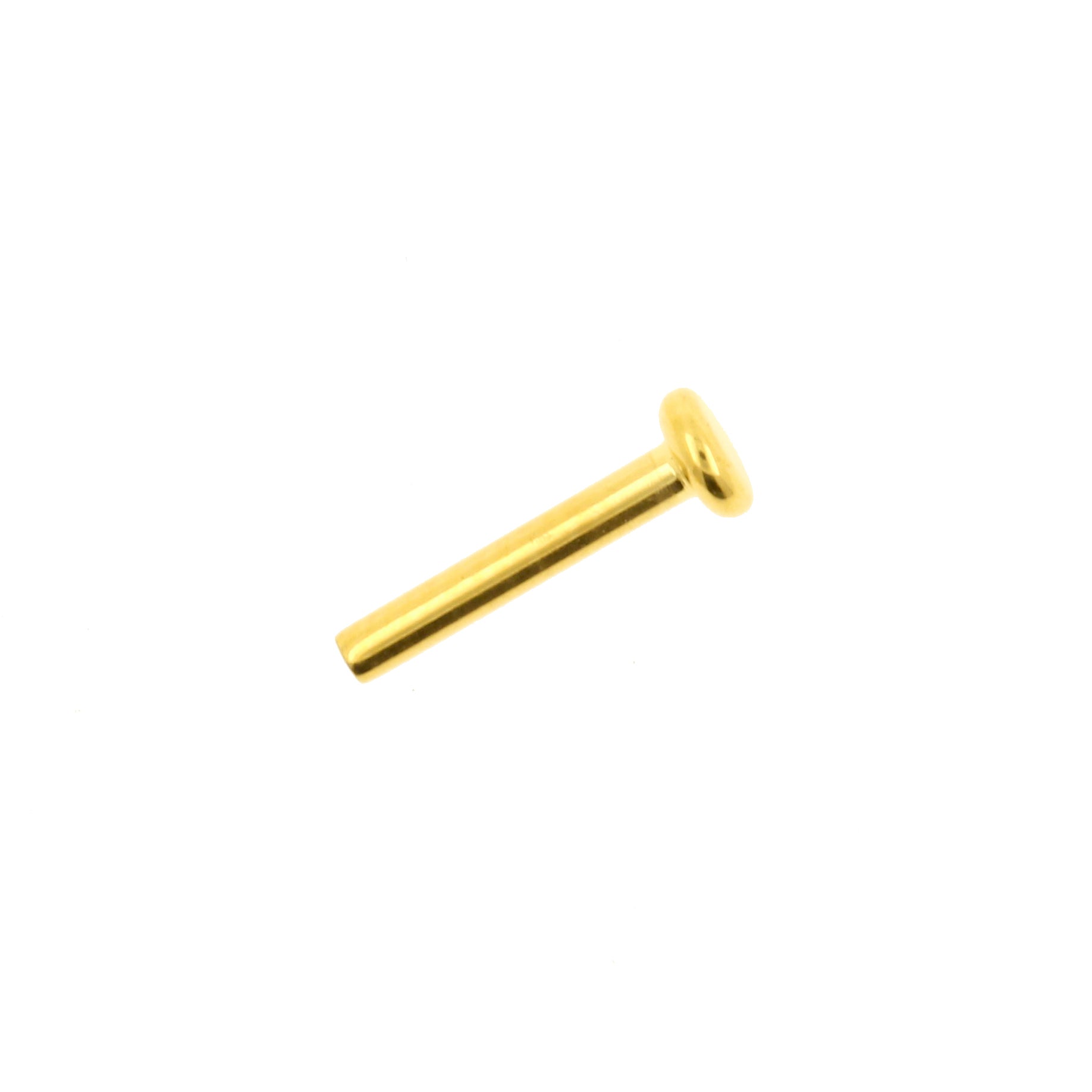 Titanium Labret Stud 3 mm Disc - Gold