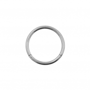 Titanium Click Ring